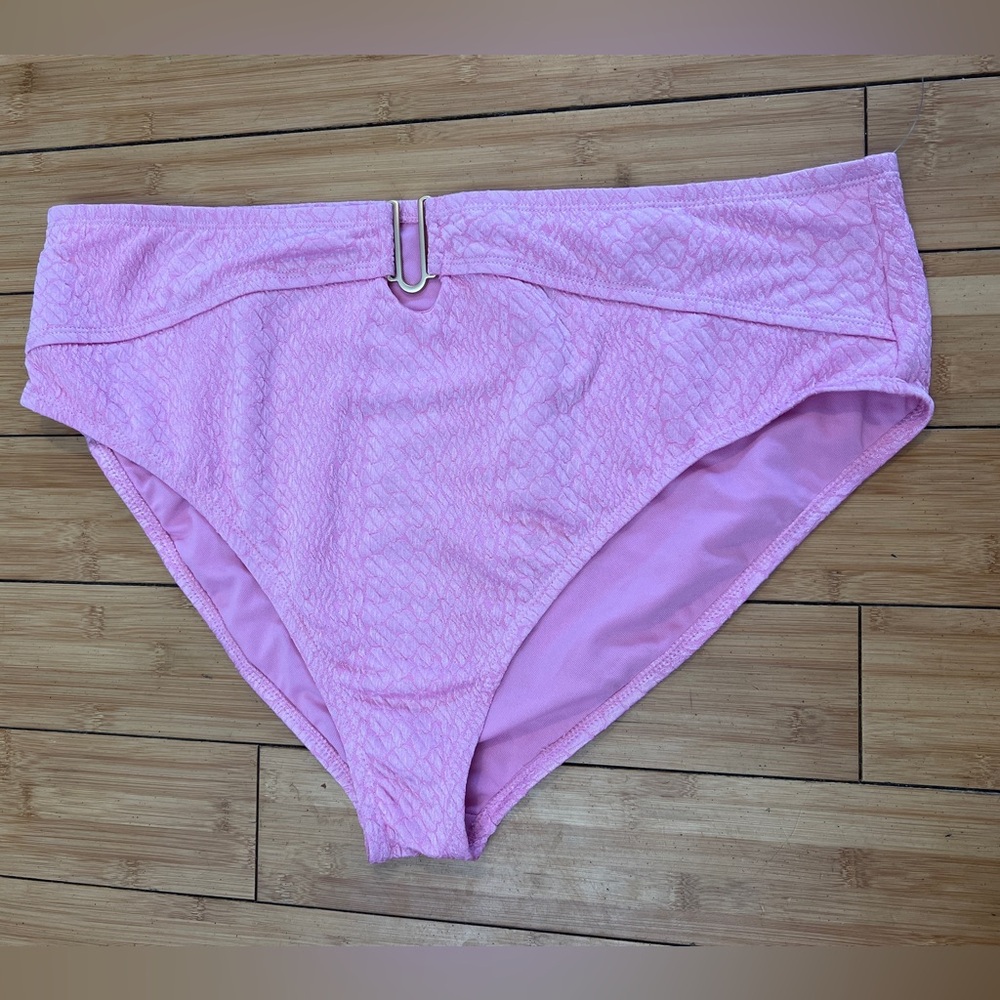 Time & Tru Bikini Bottoms Size 2X